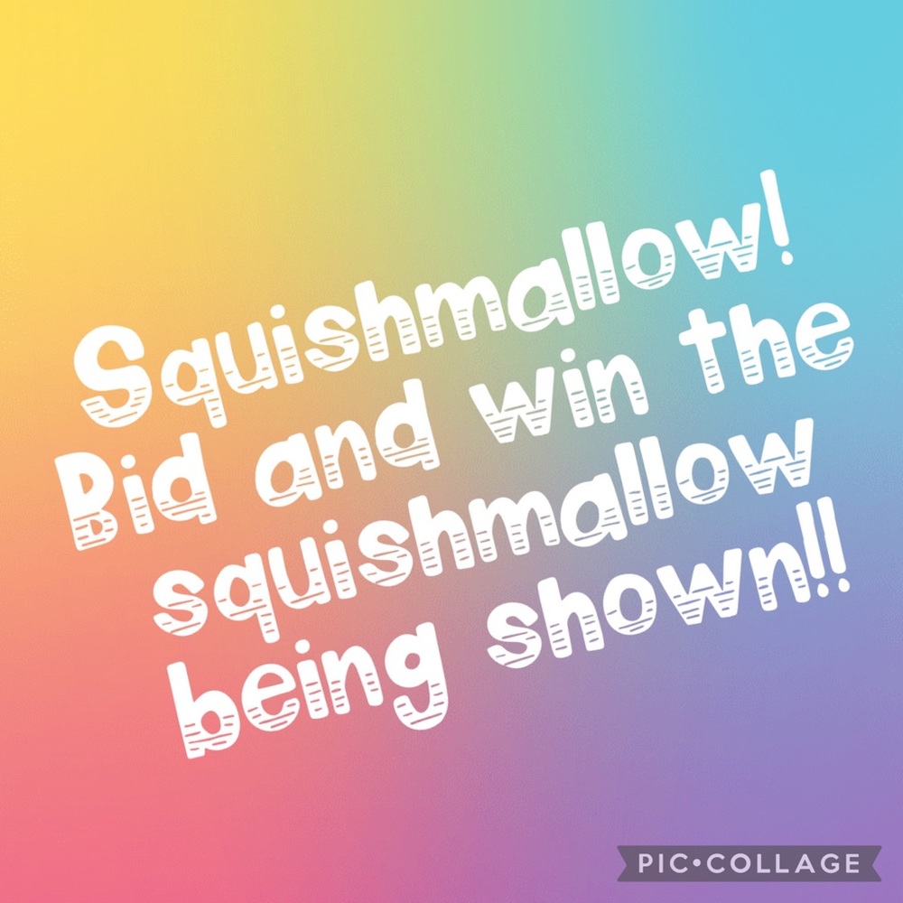 Live show squishmallow being shown on screen!